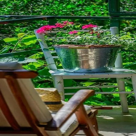 Aneli - Comfort One Bedroom With Terrace And Sea View A1